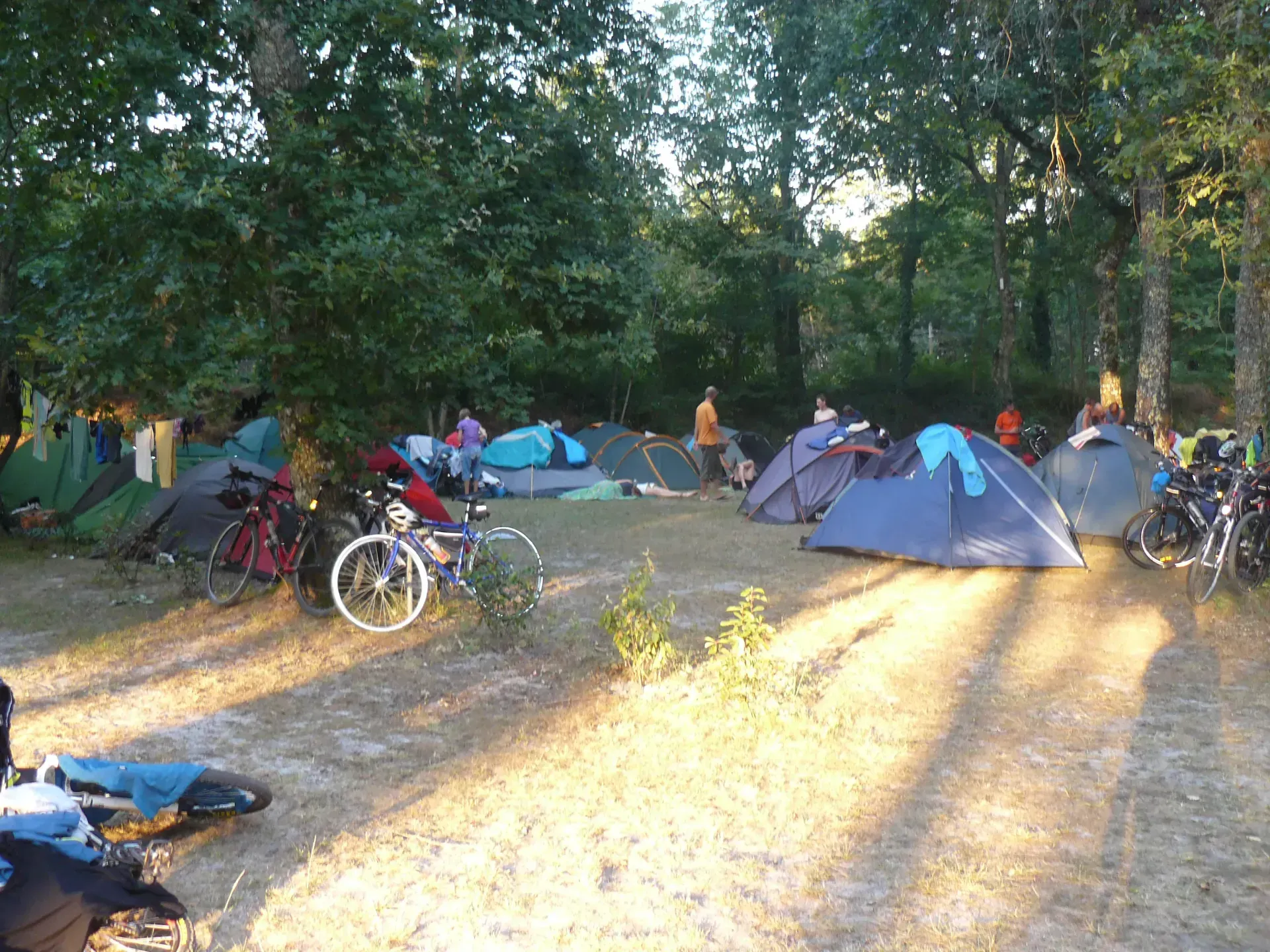 Campeurs avec tentes et vélos sur un emplacement arboré