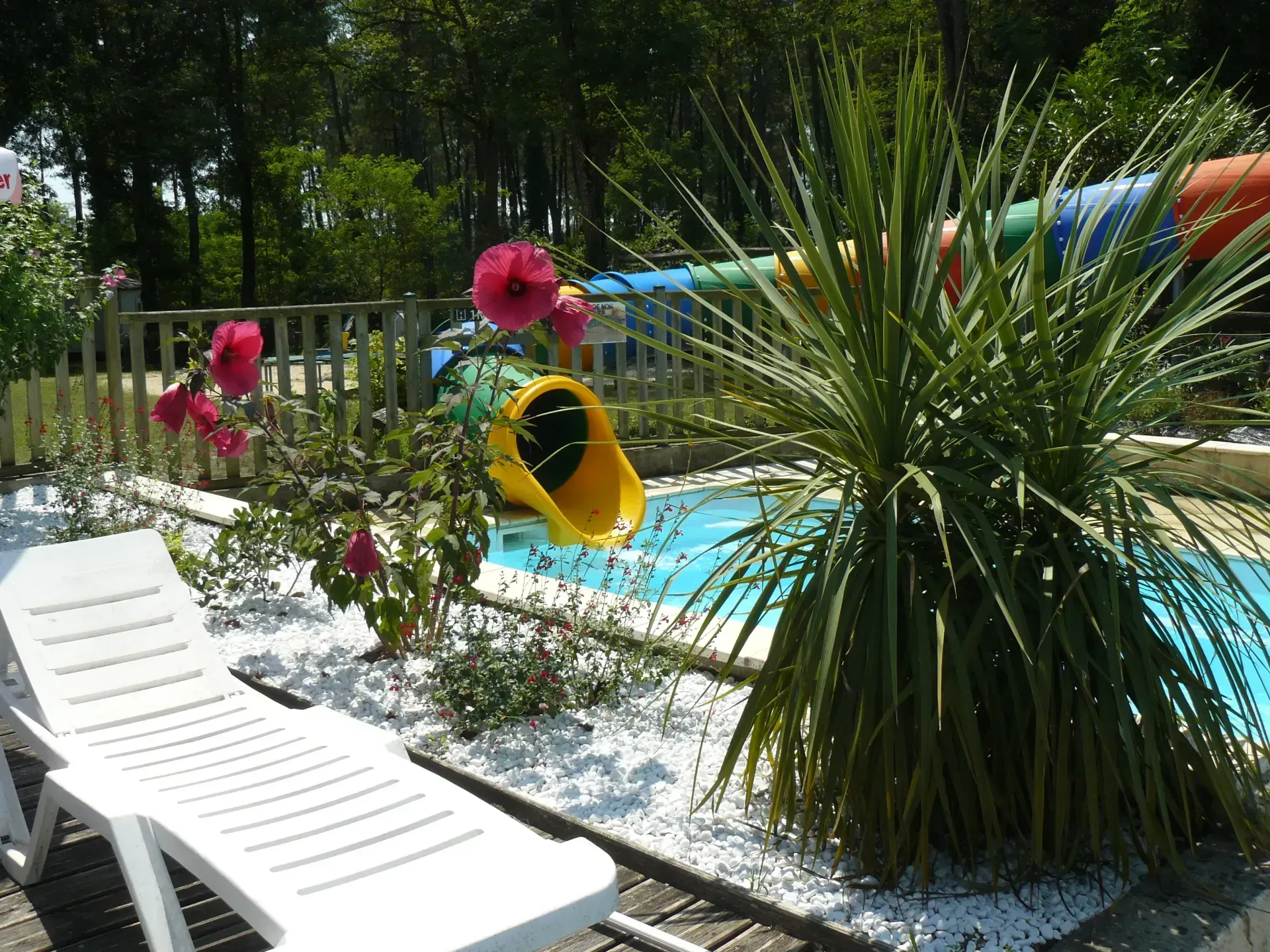 Sortie du toboggan aquatique au bord de la piscine, parmi les fleurs et la végétation du camping