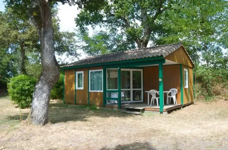 Chalet en bois avec terrasse couverte et mobilier de jardin dans un emplacement arboré