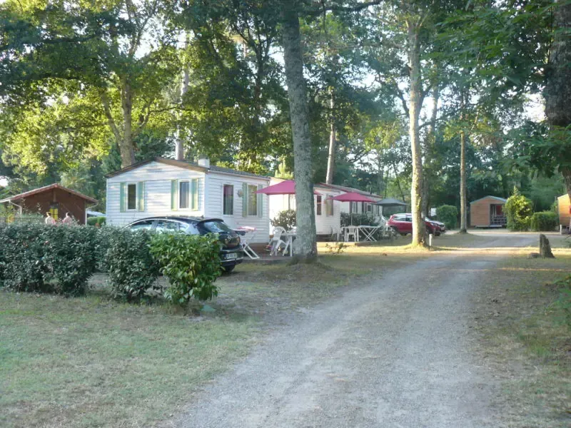 Mobil-homes avec terrasses et parasols sur une allée arborée du camping