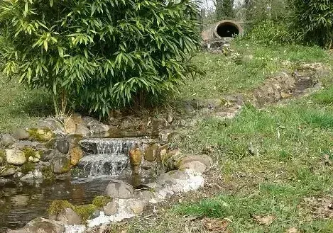Petit ruisseau en cascade bordé de pierres, d’herbes et de bambous